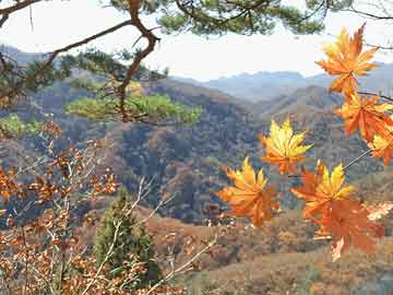 河南钓鱼需要什么装备-河南钓鱼圣地